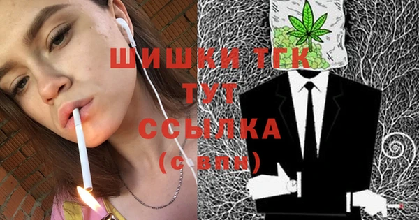 стаф Абаза